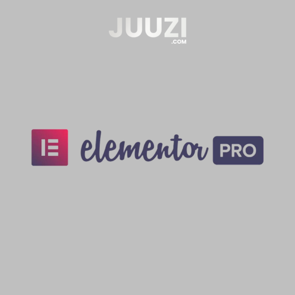 Elementor Pro